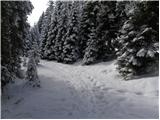 Rudno polje - Planina Zajamniki